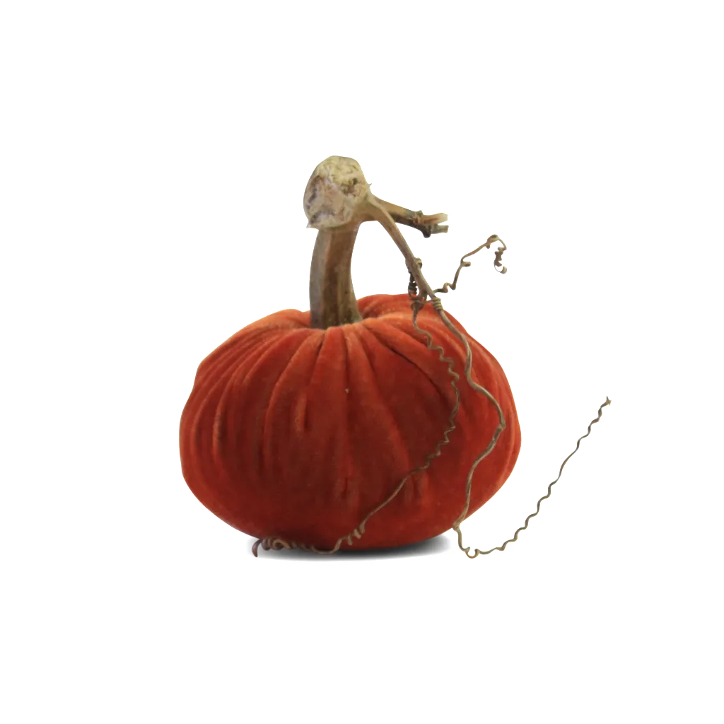 4" Velvet Pumpkin