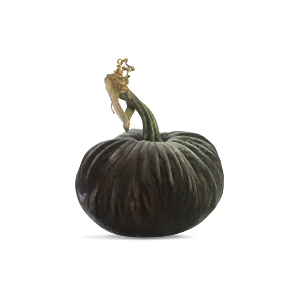 4" Velvet Pumpkin