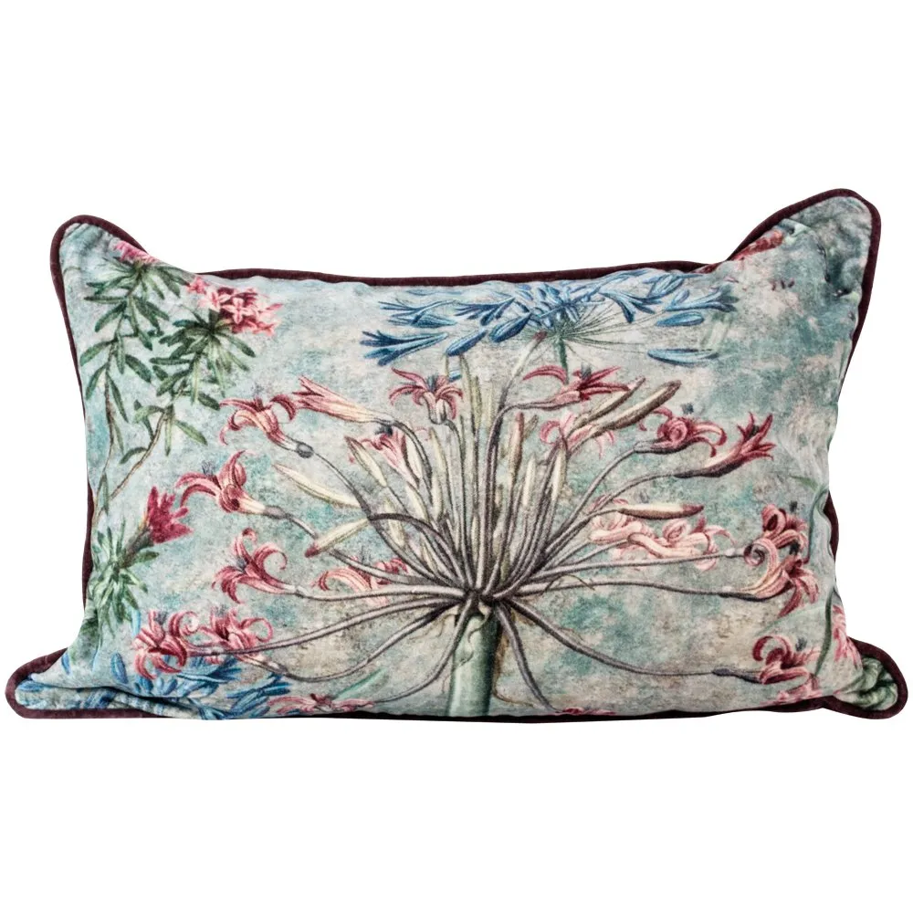 Agapanthus Pink/Blue Velvet Cushion