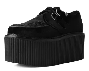 Black Velvet Stratocreeper