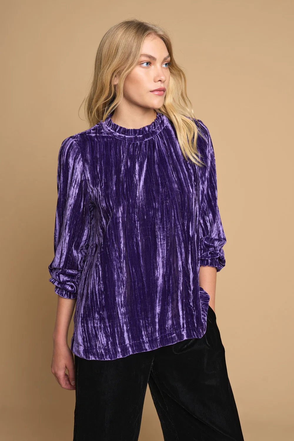 High Neck Velvet Top