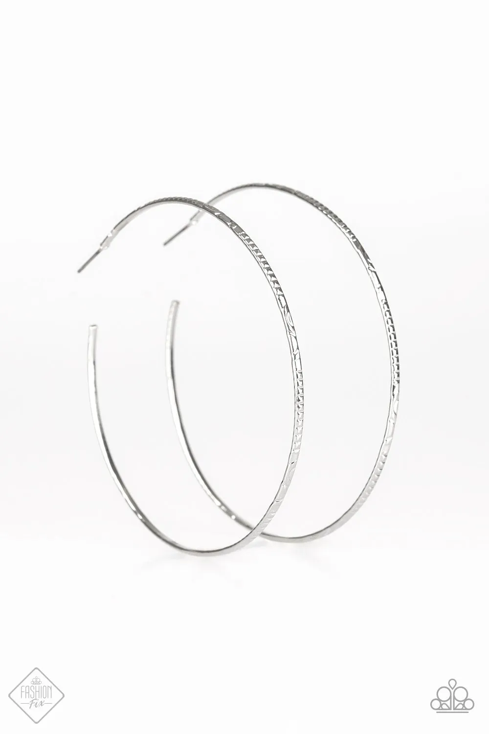 Paparazzi Accessories  - Sleek Fleek #E121 - Silver Earrings