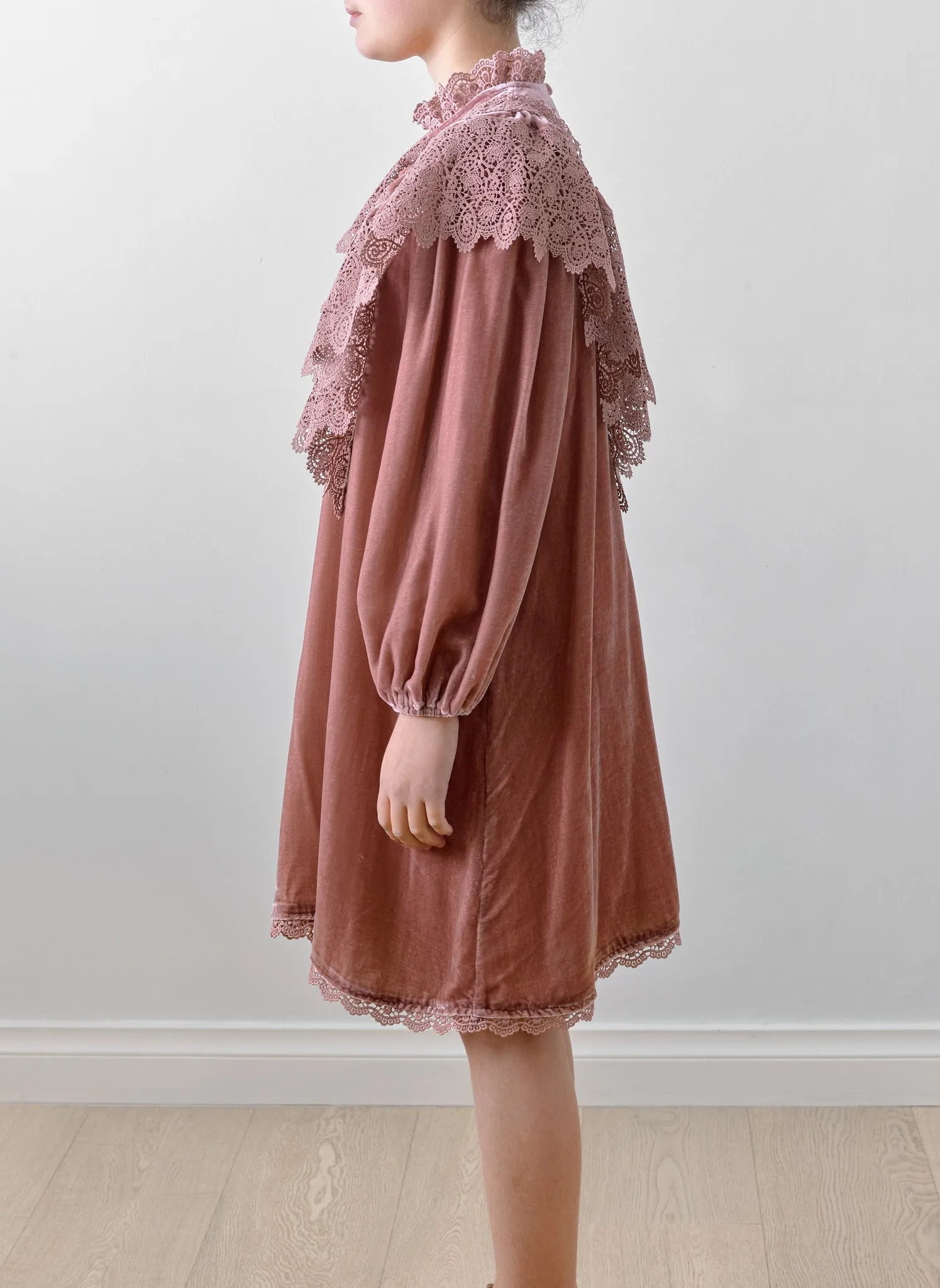 Petite Amalie Velvet Lace Dress